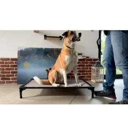 DOG BED SMALL 64 Cm X 44 Cm